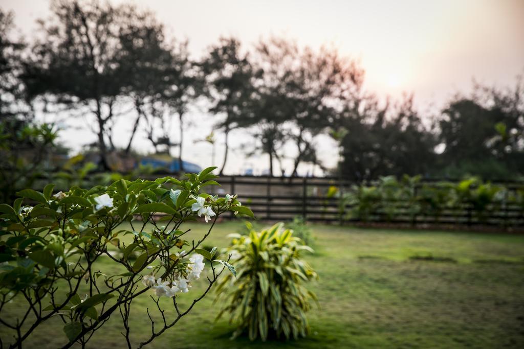 Bed and Breakfast Casa Cubo By The Beach Calangute Exteriér fotografie